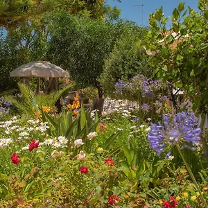 Quinta Paraiso Da Mia Two Bedroom Apartment